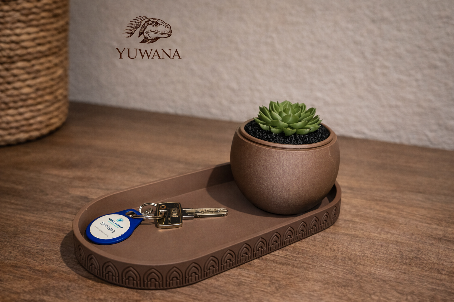 Modern Key Holder & Planter Dish